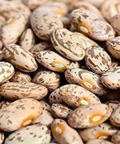 PINTO BEANS